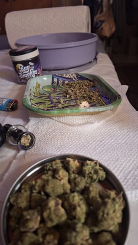 Customer photo review of White Widow Mediums - Bulk Mediums - Hybrid