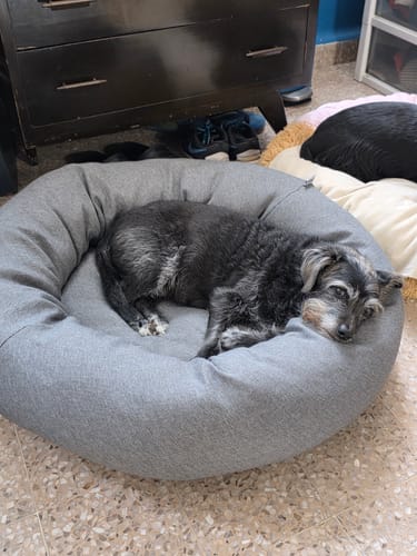 Customer photo review of Forro Relleno Interno para Cama Antiestrés para Perros
