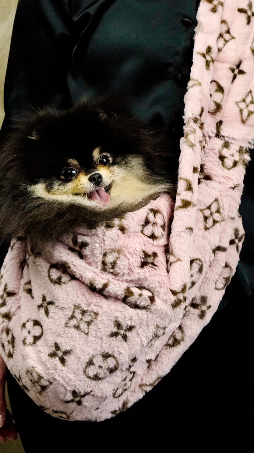 Customer photo review of Lulaina cozy carrier