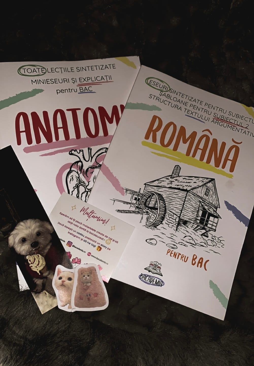 Customer photo review of Pachet Bacalaureat (Română + Anatomie clasele XI-XII) Bacademia