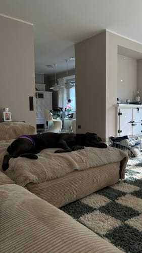 Kundenbewertung mit Foto zu CAILY | Hundedecke & Sofaschutz – Wasserdicht, waschbar & super weich