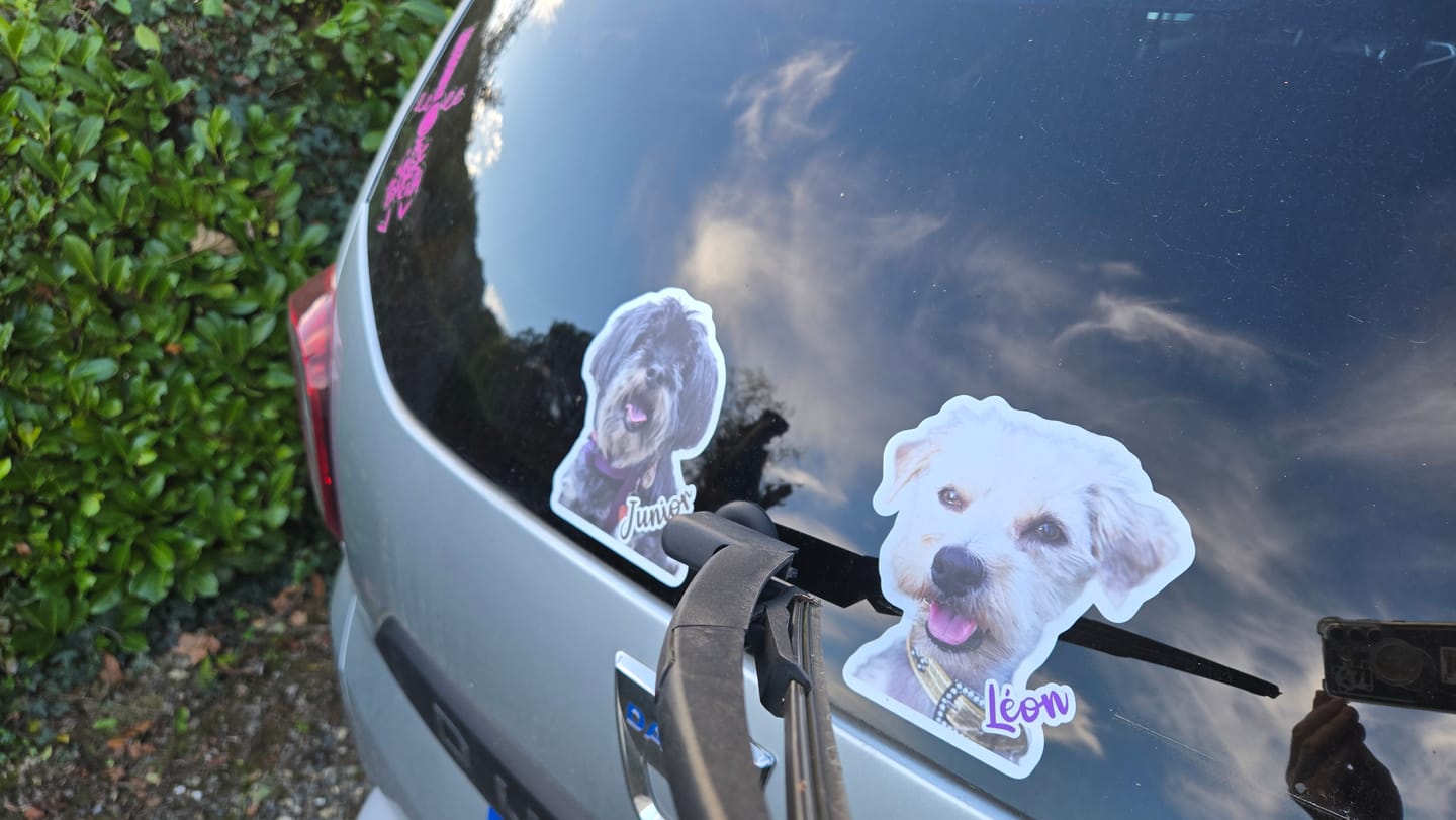 Customer photo review of Votre photo d'animal - Autocollant pour voiture personnalisé