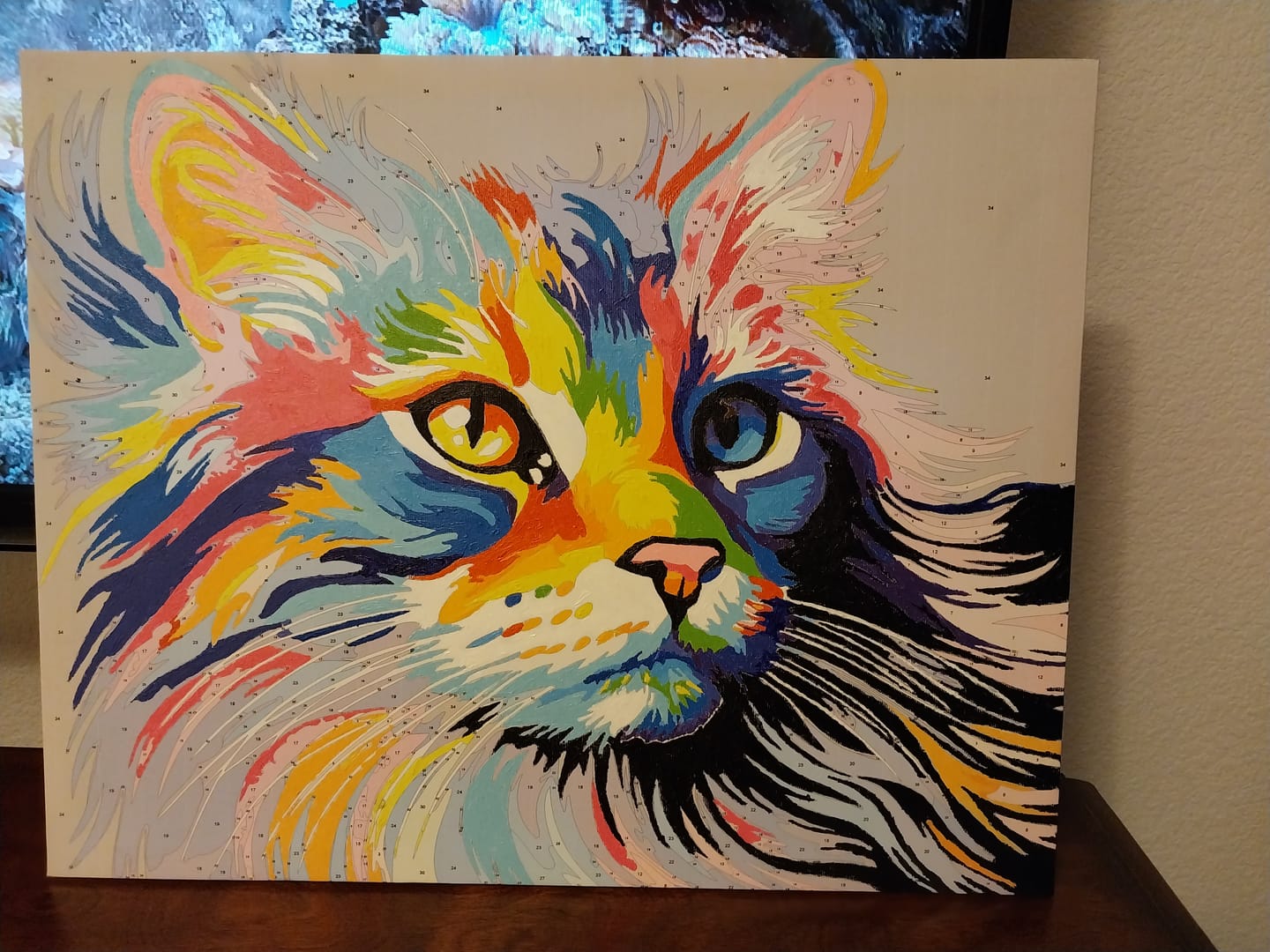 Customer photo review of Colorful Cat