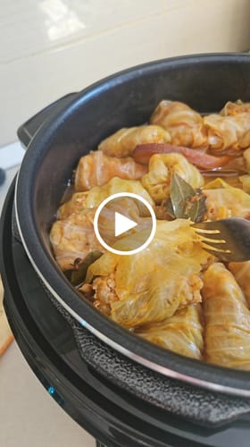 Customer video review of Multicooker Novio EasyCook