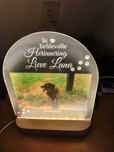 Customer photo review of In liefdevolle herinnering hond/kat ledlamp