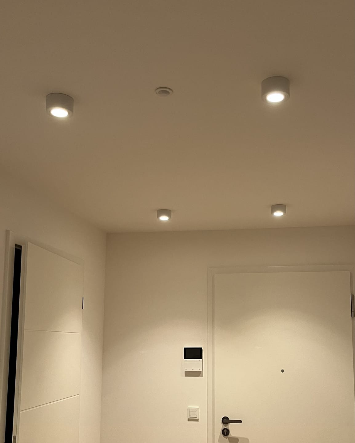 Customer photo review of Full Spectrum LED Spot Tunable White | 60°  CRI95 2400-4000K 24V 6W+6W