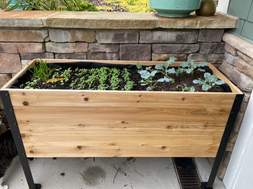 Customer photo review of 18" x 48" Raised Garden Bed - 30" TALL