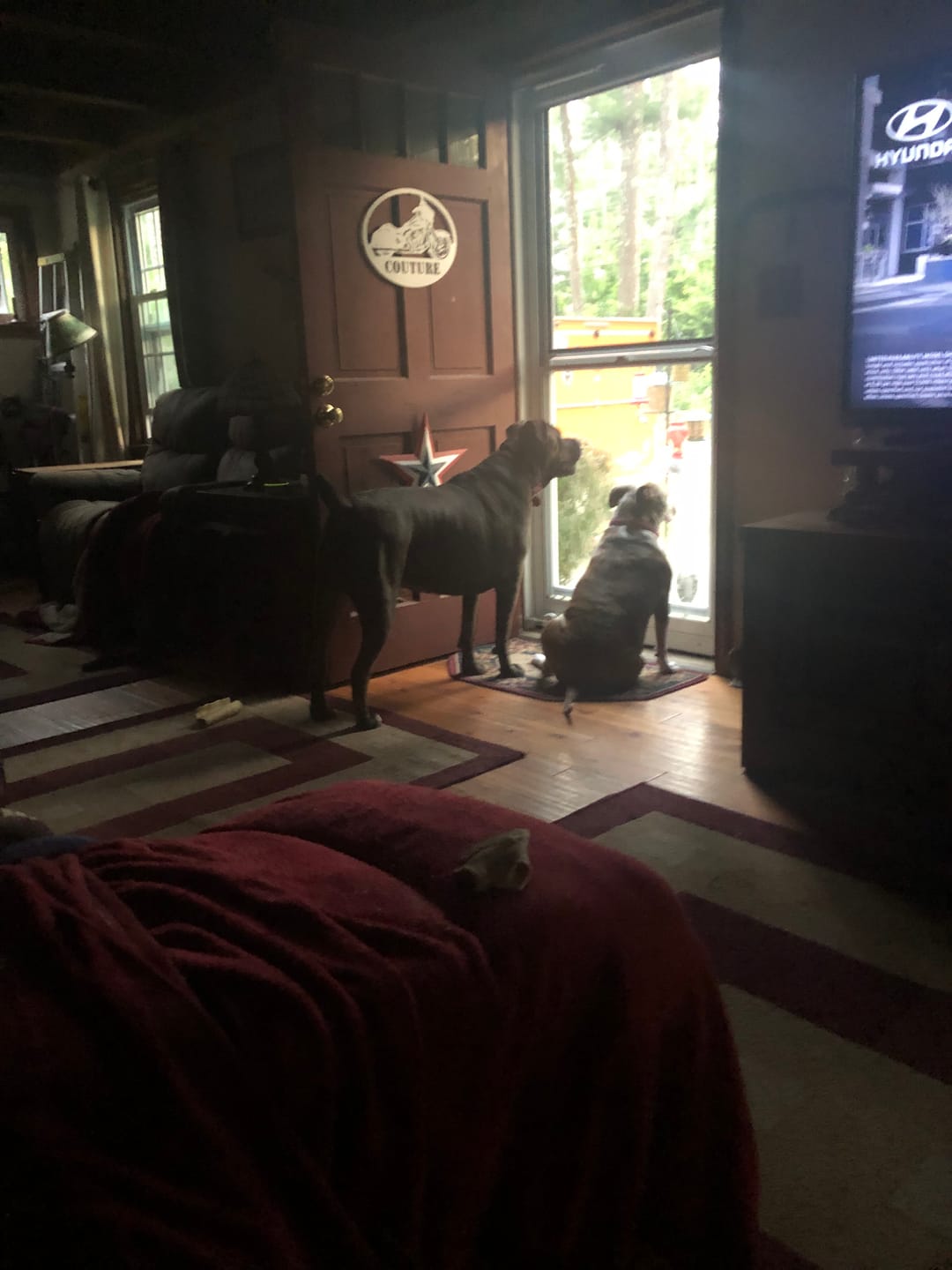 Customer photo review of Stick a Day | Mix of Chicken & Beef Flavor | Specially Formulated 7-in-1 Functions Daily Real Meat Snacks for Dogs | Healthy Tasty Treat & Pet Vitamins & Supplements Combination (Pack of 28 Sticks)