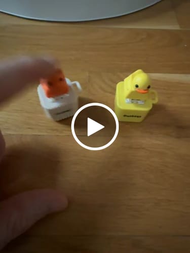 Customer video review of Meowkey - Fidget Toy that Meows!