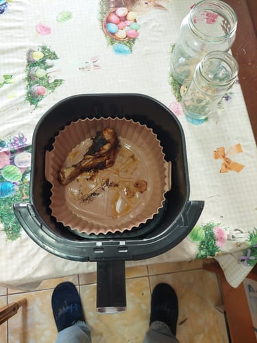Customer photo review of Air Fryer Novio Grill & Fry