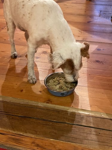 Customer photo review of Frischfutter für Energiebedarf von 476 kCal/Tag