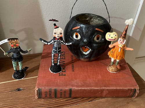 Customer photo review of Jack-o-Lantern