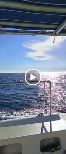 Customer video review of Cápsulas de Hongo Melena de León