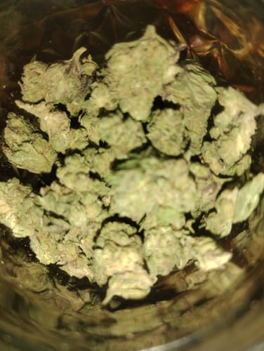 Customer photo review of Fruit Punch (smalls)