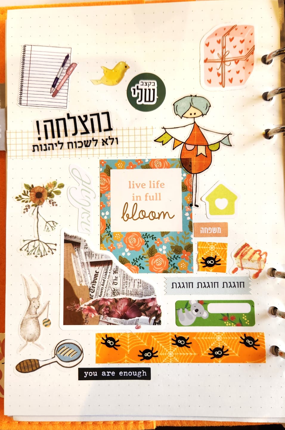 Customer photo review of שיהיה בהצלחה!