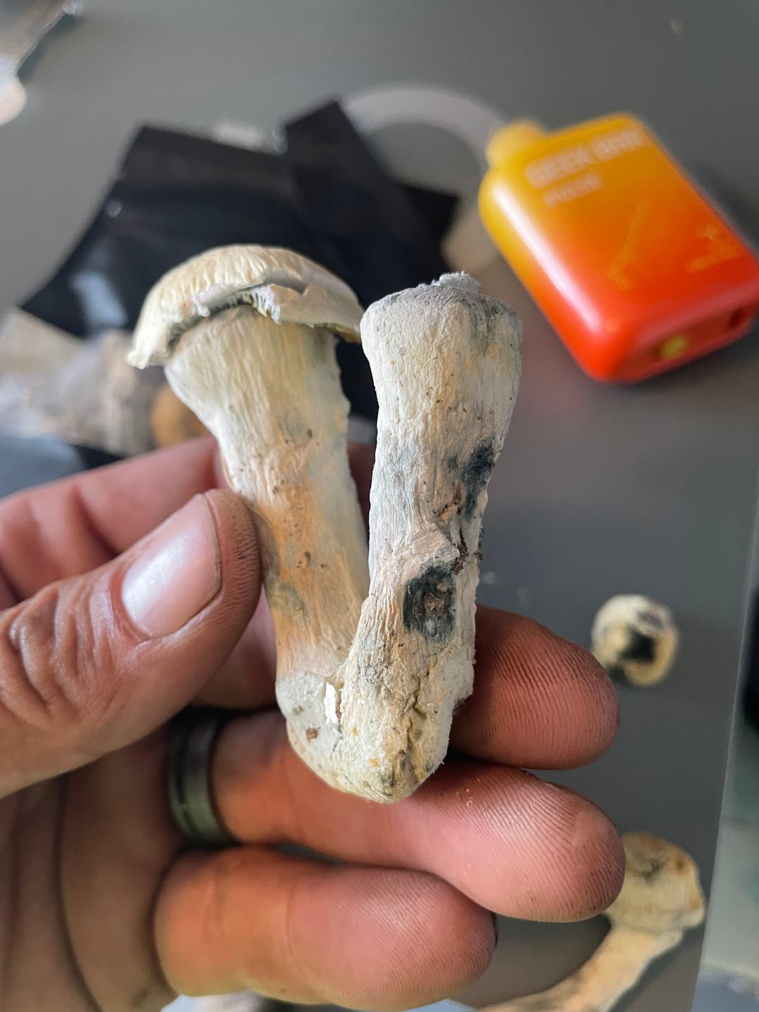 Customer photo review of Non Detect Mushrooms