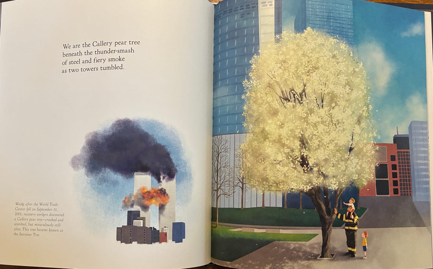 Customer photo review of The Witness Trees