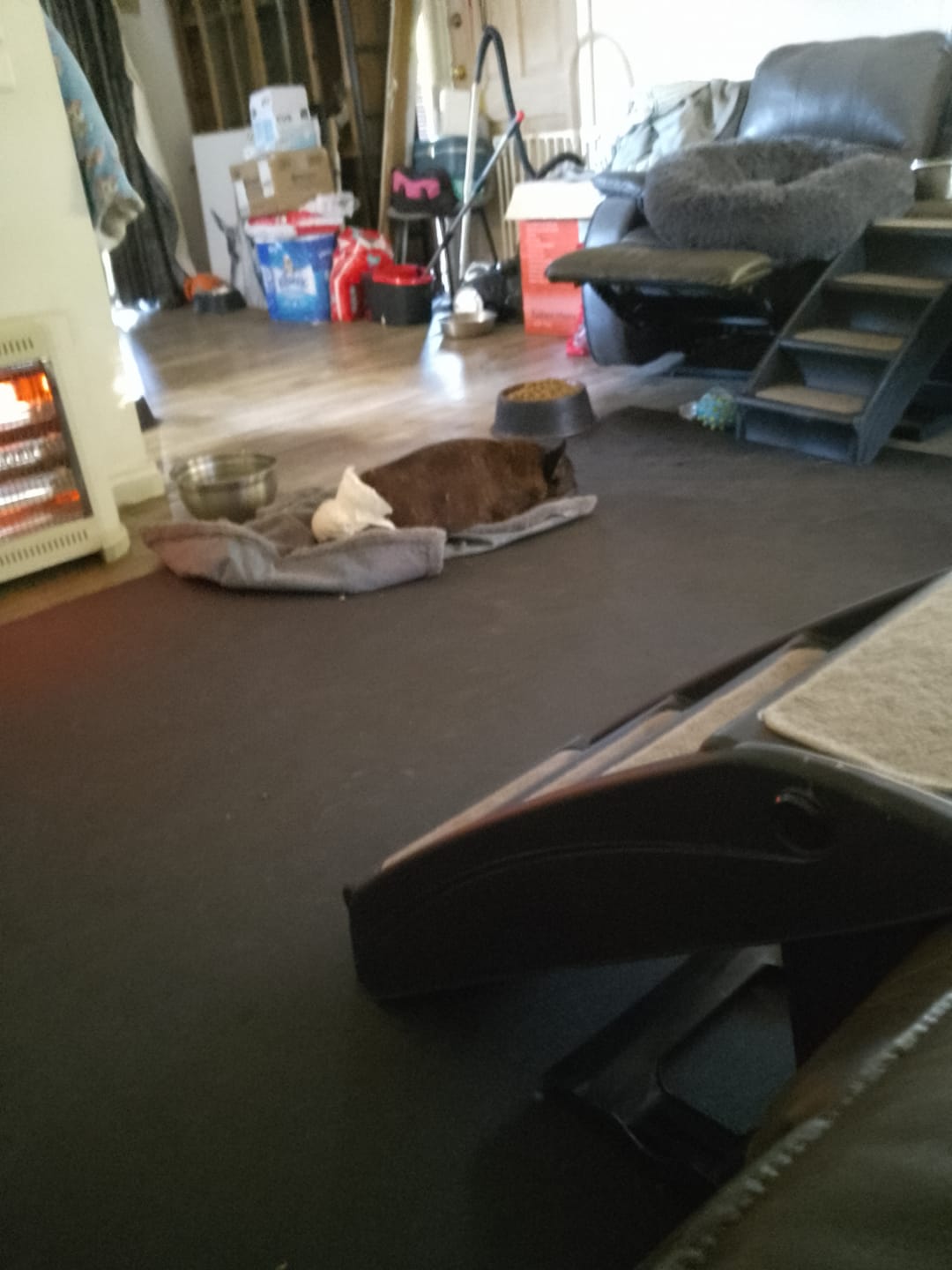 Customer photo review of Miramat® Tera - 305cm x 183cm - Supersized Large Exercise Mat - In Stock