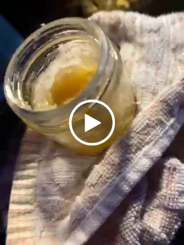 Customer video review of Shipping Protection by Route