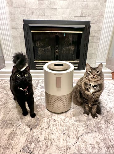 Customer photo review of Pet Air Purifier