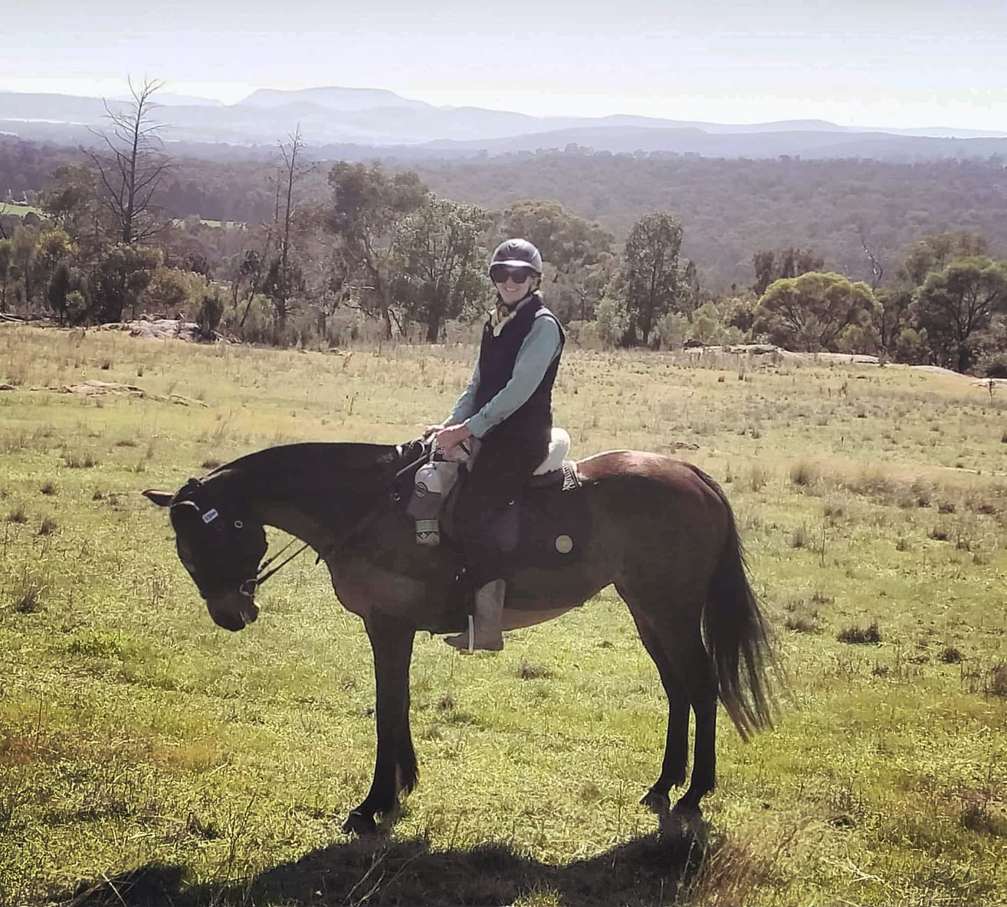 Customer photo review of Thames Rothbury Saddle Pad - Limited Edition Gold