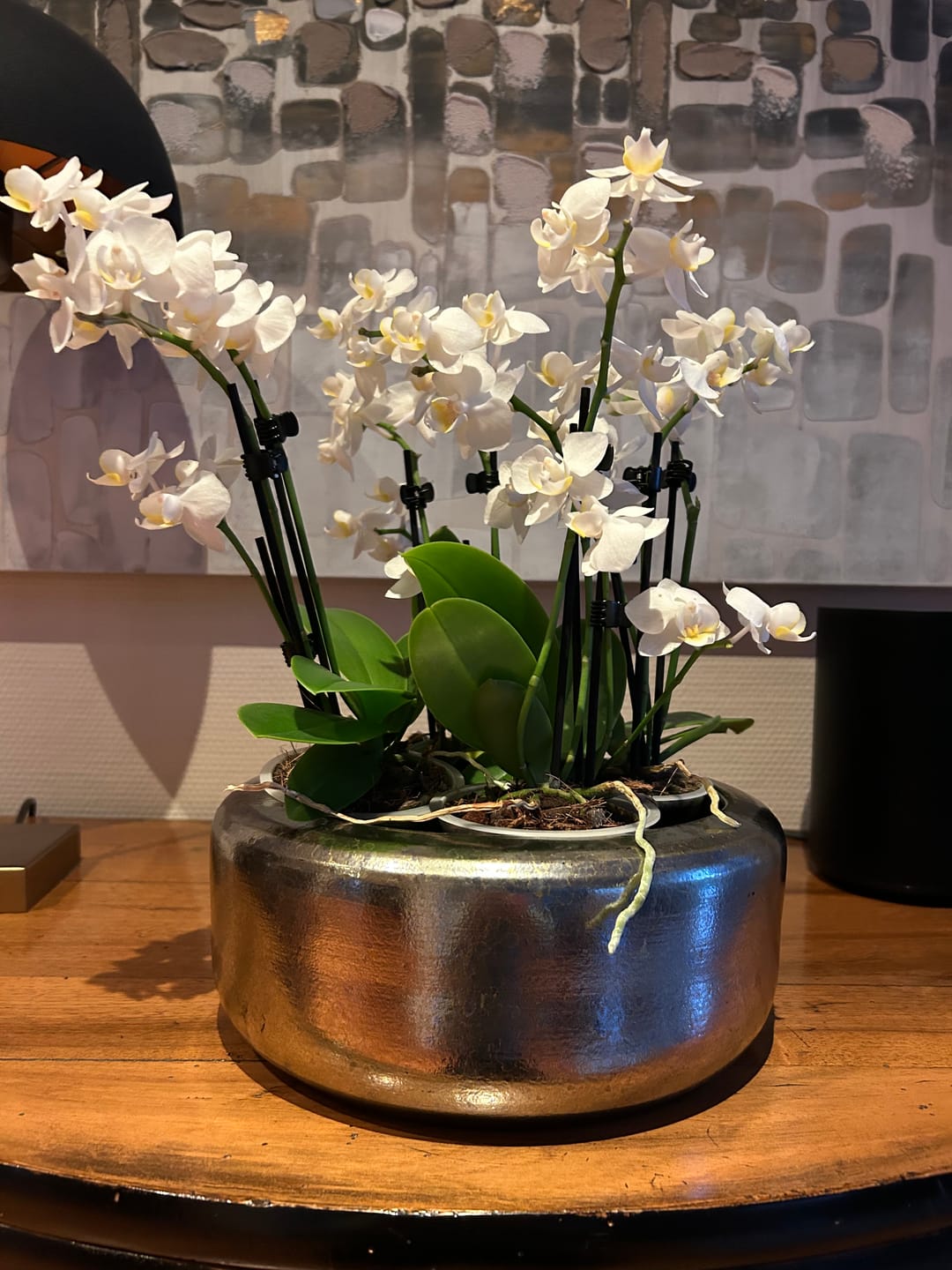 Customer photo review of Table Dance Weiß mit weißen Blüten und 3 Rispen