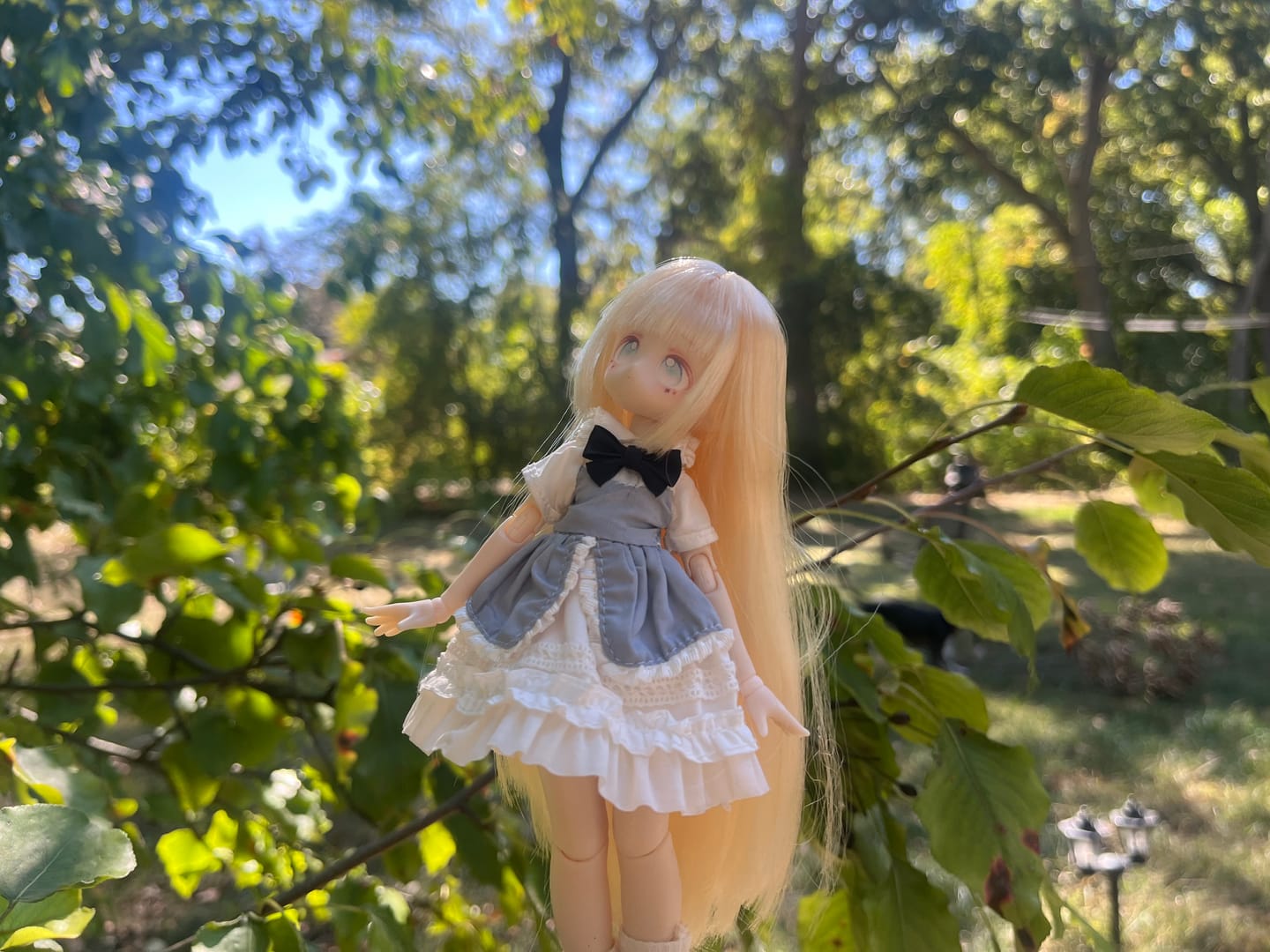 Customer photo review of Momotale Fluff Rabbit Tea Party Series 1/8 MJD Action Figure