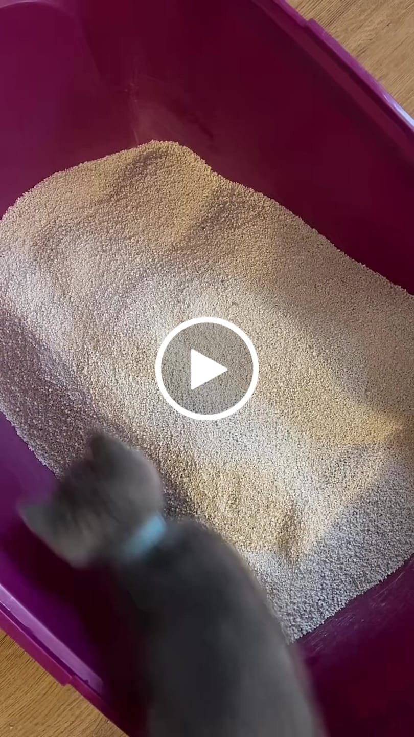 Customer video review of W225 Scented Range - 10KG