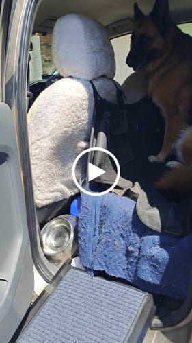 Customer video review of Foldable Dog Ramp for Cars & SUVs – Compact Design