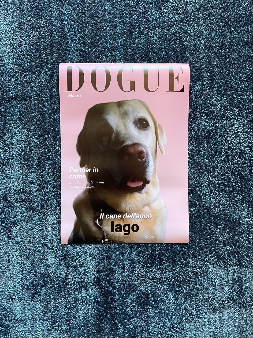 Customer photo review of Dogue - Poster personalizzato