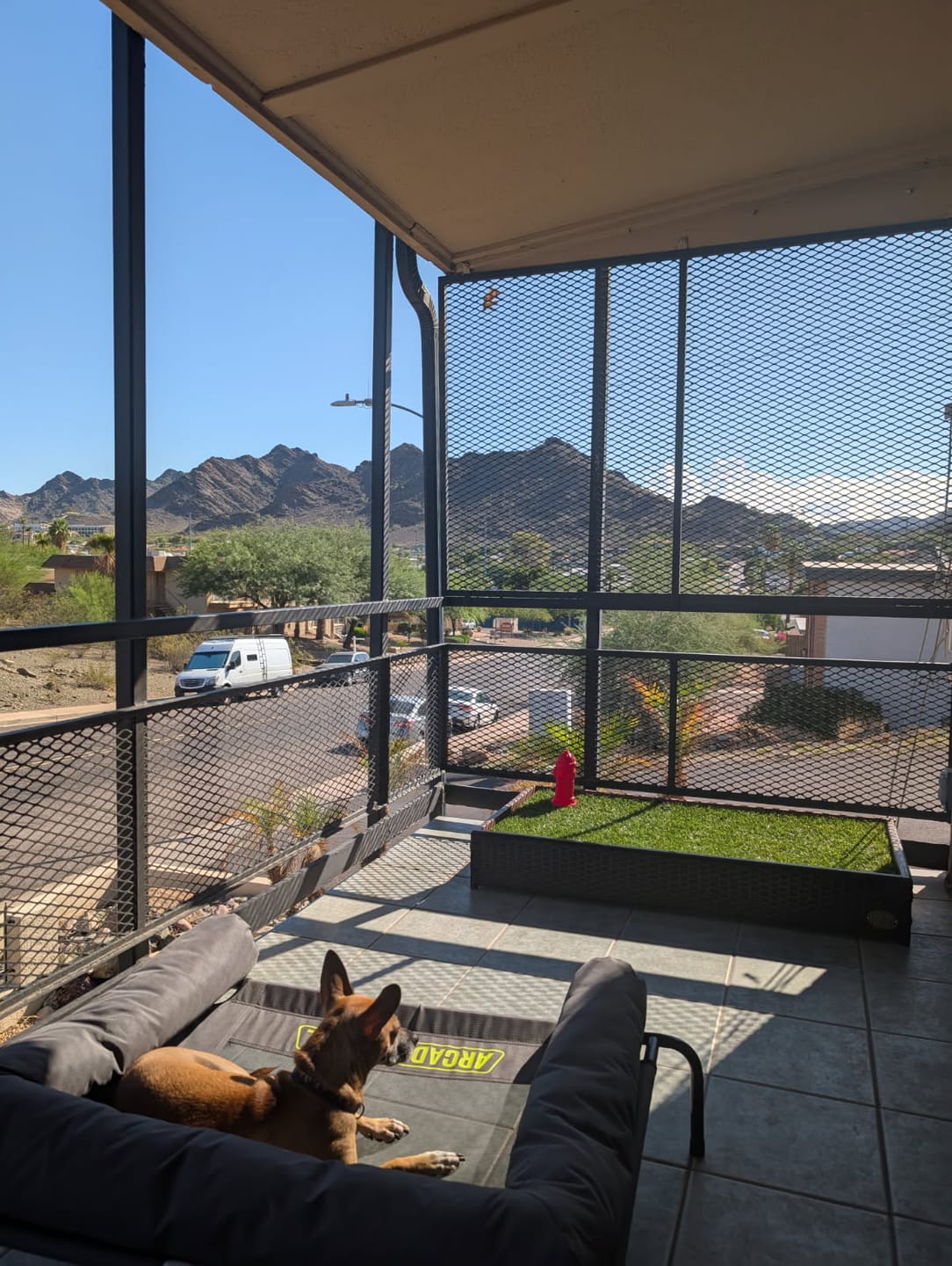Customer photo review of Porch Potty STANDARD
