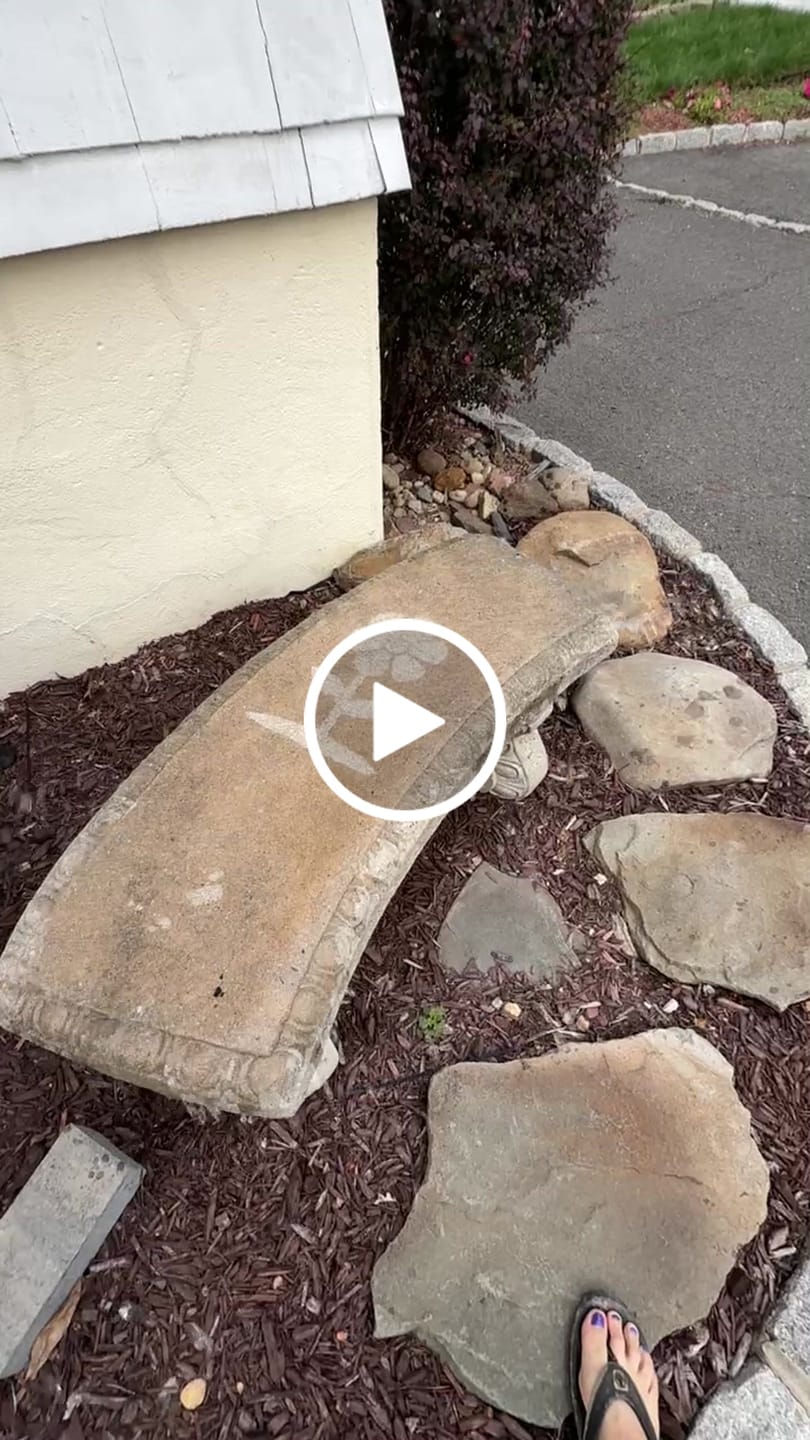 Customer video review of Invisible Spray 2.0 Starter Kit (10-15 sq ft)
