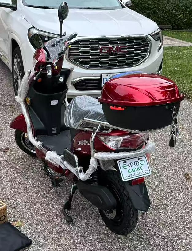 Customer photo review of Hornet X.I
