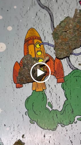 Customer video review of Greenhouse Smalls