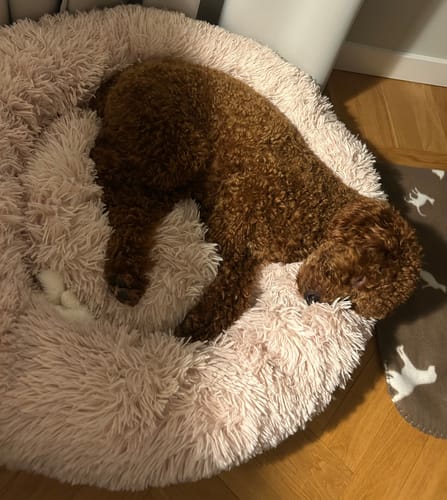 Customer photo review of CalmBed - Motverkar stress & hjälper mot ångest