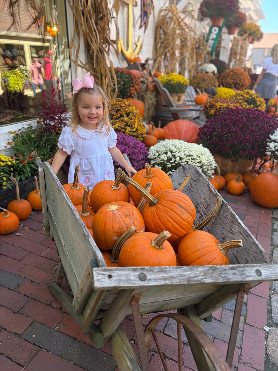 Customer photo review of Cute as a Pumpkin Pink Stripe Caroline Legging Set