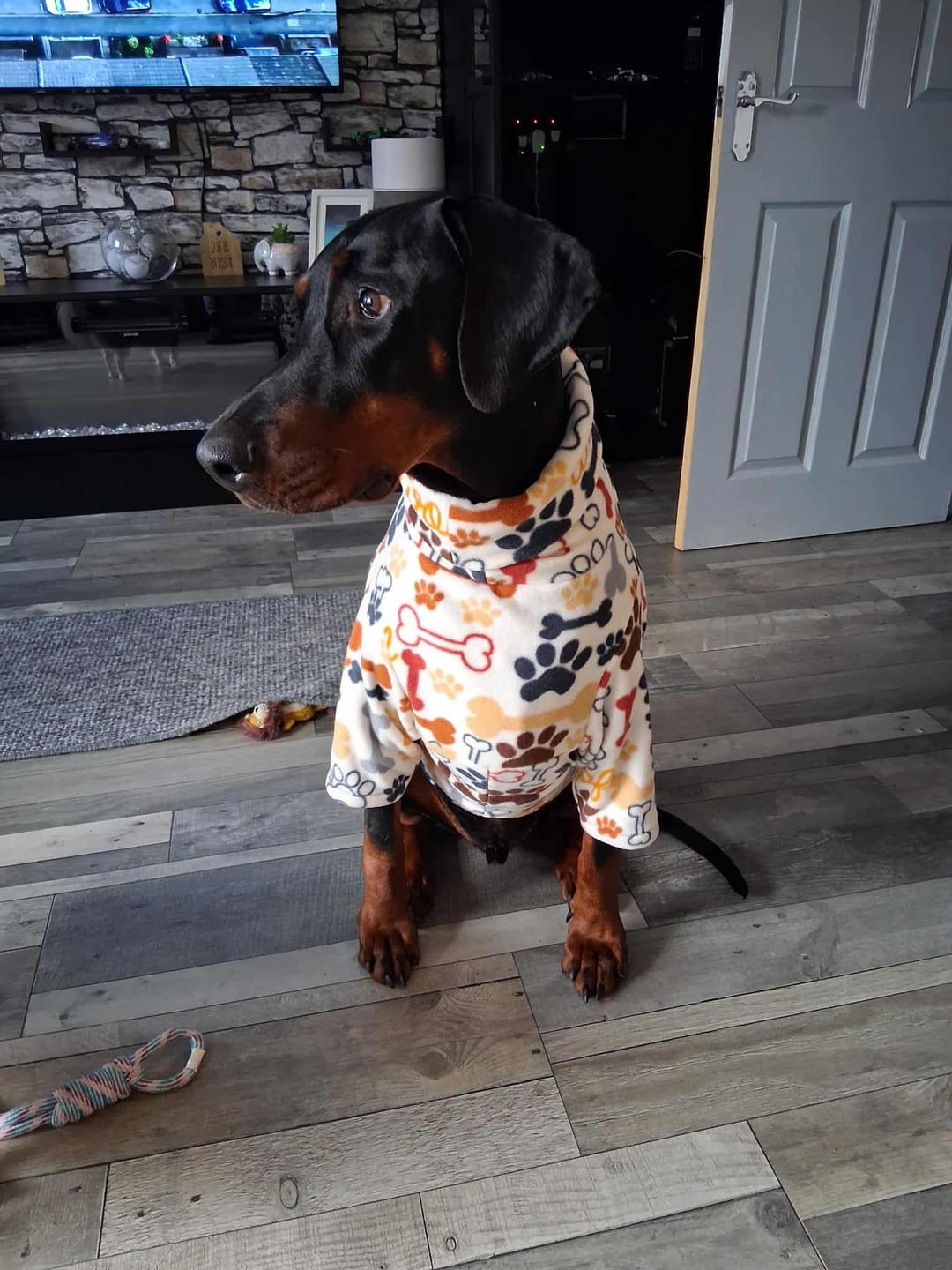 Customer photo review of Playful Paws Anti Pill Polar Fleece Fabric