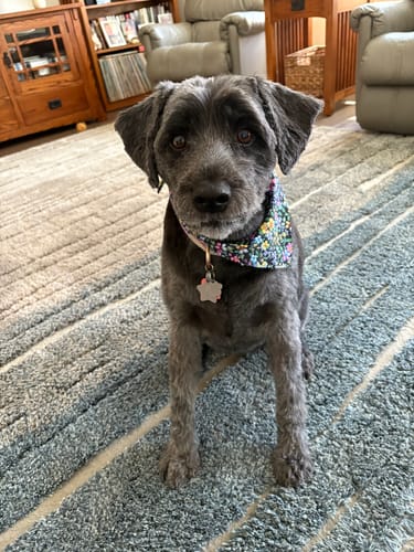 Customer photo review of Freedom Joint Drops