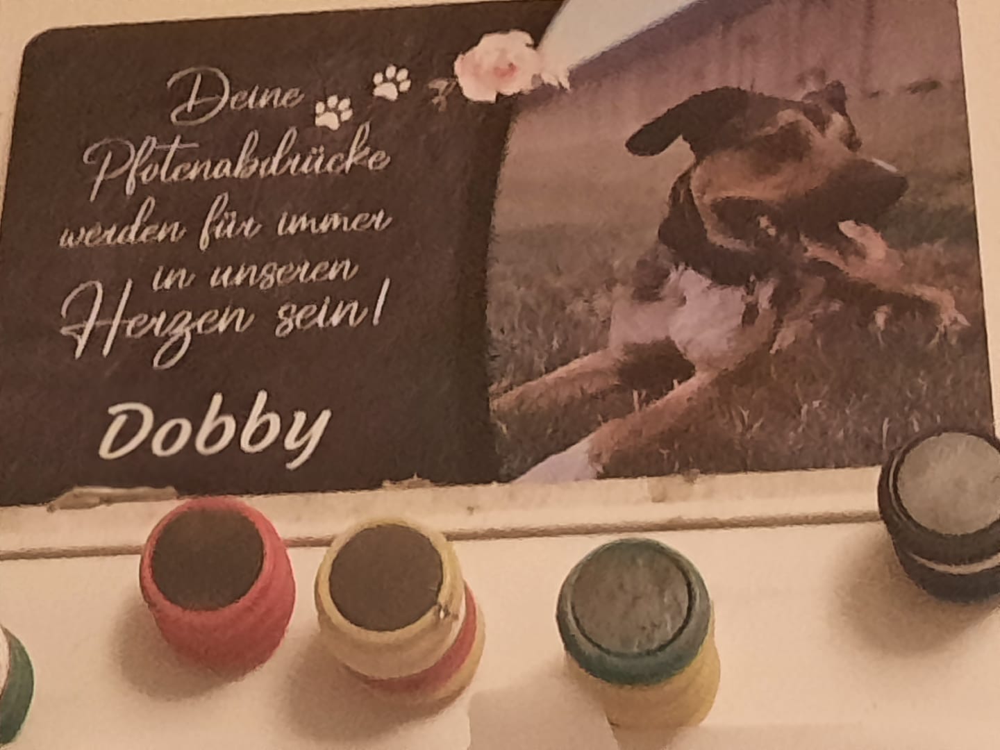 Customer photo review of Hunde Gedenktafel mit Foto & Spruch (UV- & Wetterfest)