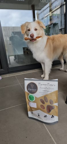 Customer photo review of Beef Achilles Tendons