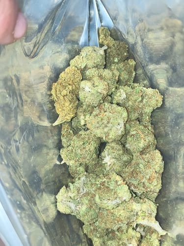 Customer photo review of Fresh Lows Lounge