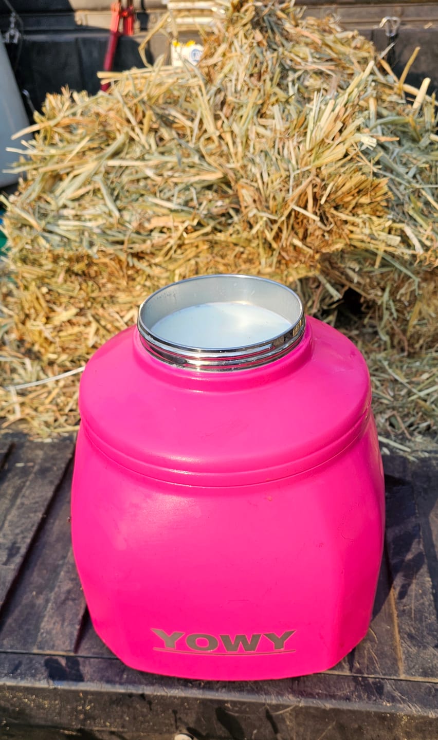 Customer photo review of 6L Yowy Watercan
