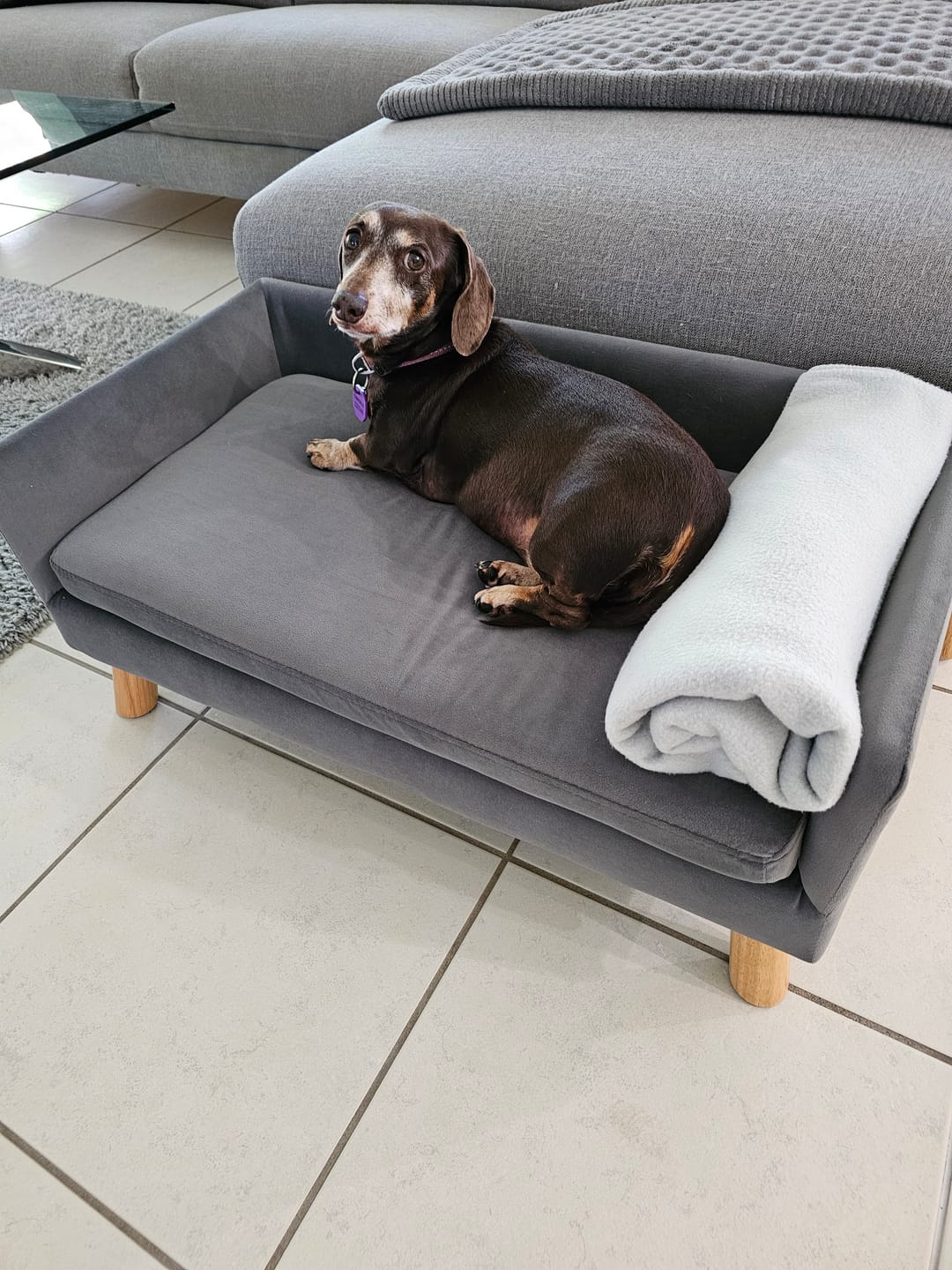 Customer photo review of Dog Sofa Bed Pet Lounge Couch