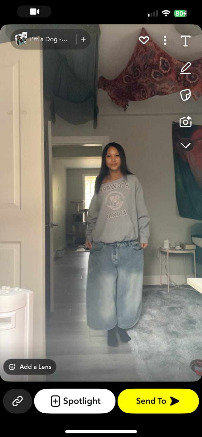 Customer photo review of Aelfric Eden Double Waist Baggy Jeans