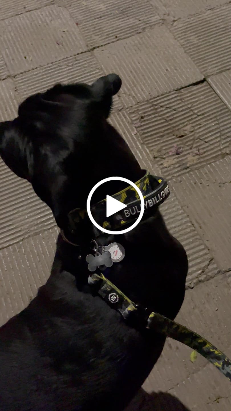 Customer video review of 1.4m Swivel Combat Lead | Anti-Tangle & Secure Clip - Lightning