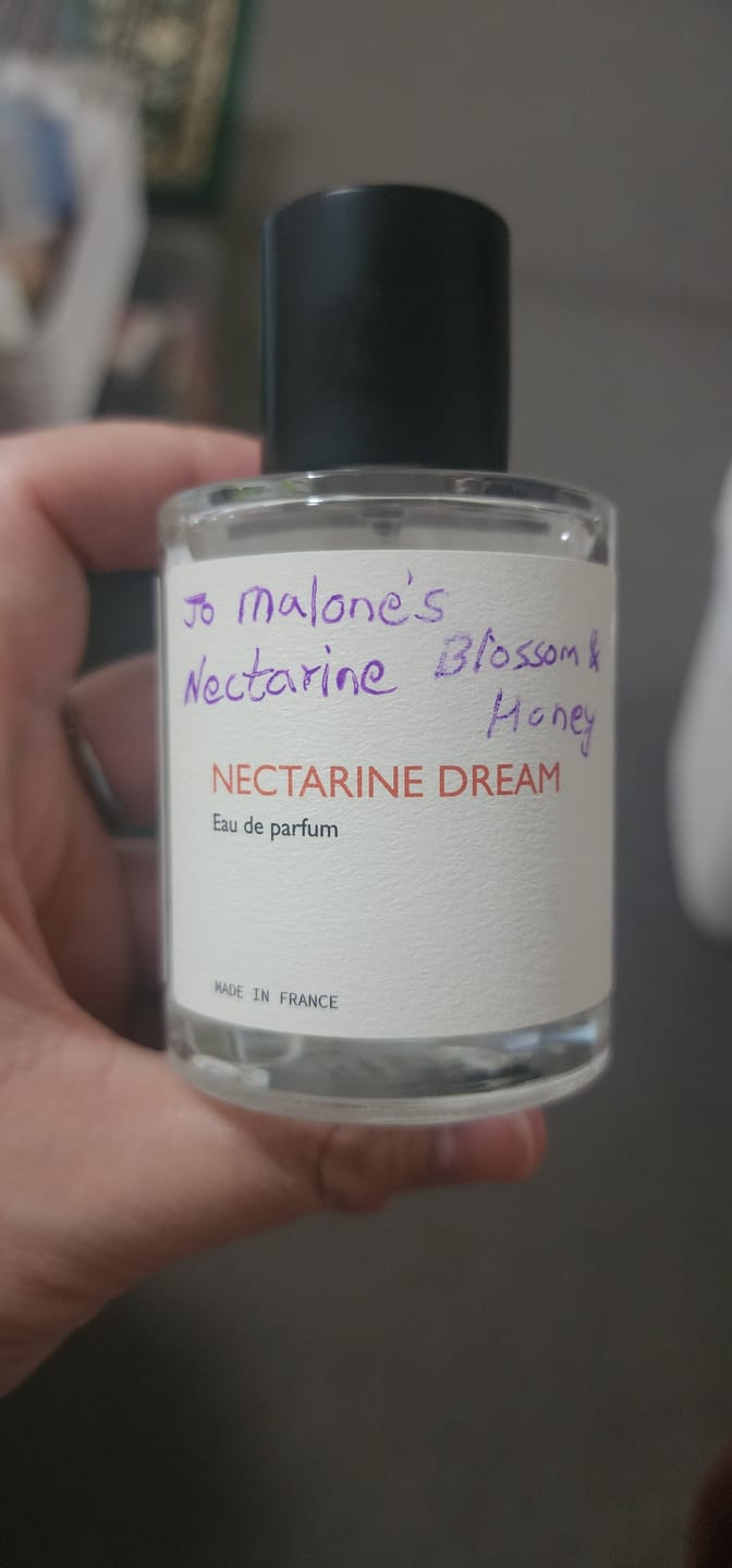 Customer photo review of Nectarine Dream