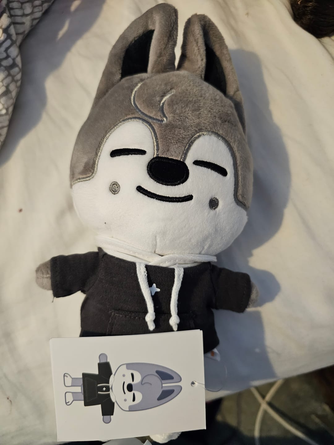 Customer photo review of STRAY KIDS - SKZ'S MAGIC SCHOOL OFFICIAL MD SKZOO PLUSH ORIGINAL VER.