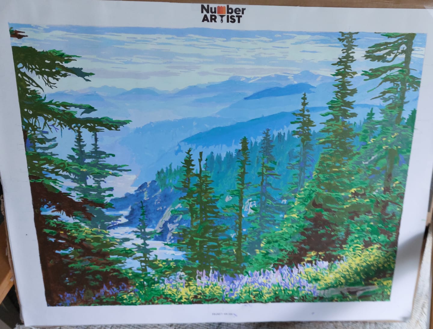 Customer photo review of Olympic National Park