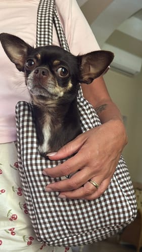 Customer photo review of Borsa Cotone Vichy Marrone