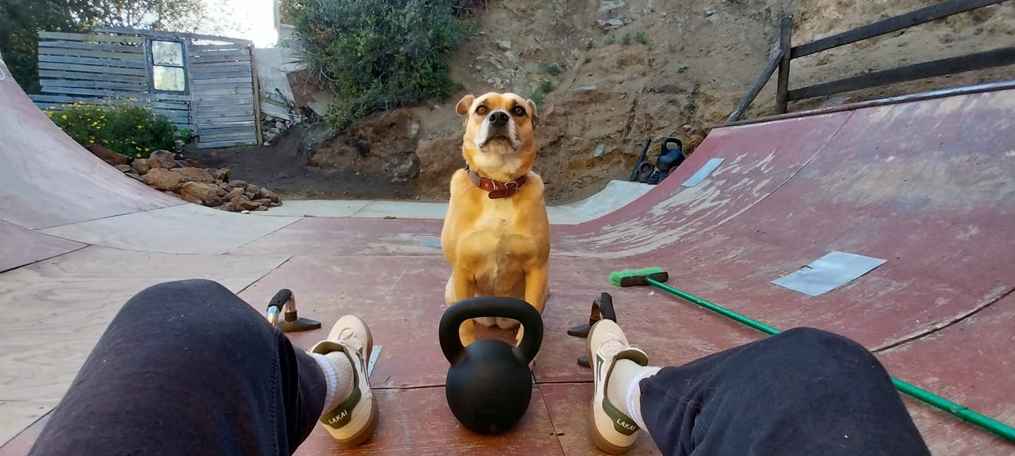 Customer photo review of Kettlebell Premium 4 a 36 kg IRONSIDE